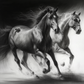 TrdX Black & White Horses 4