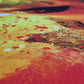 Shapes - Latin Lines of Beauty 2